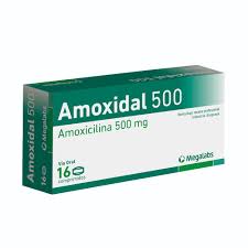 Amoxidal 500 mg. 16 Comprimidos.