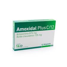 Amoxidal Plus C12 14 comp